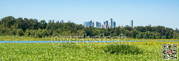 Scenery view of urban district area over nature reserve zone.