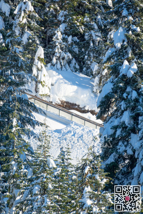 VIew on uphill trail among the trees on bright winter day.