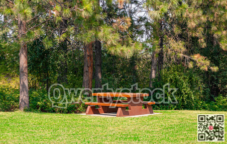 Rest area with wooden table on hike route in shadow of the trees.