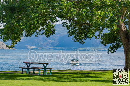 Recreational area under the crown of big chestnut tree with the lake overview