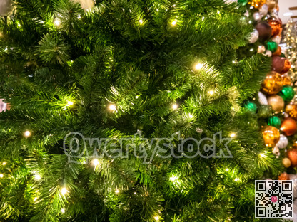 Green Christmass tree fir and lights texture background.