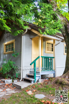 Doorsteps and porch of small residential house under the tree.