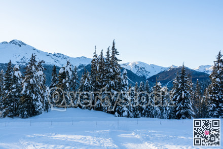 Winter view on mountains and forest in snow from Olympic village in Wistler, BC.
