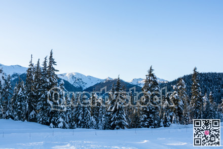 Winter view on mountains and forest in snow from Olympic village in Wistler, BC.