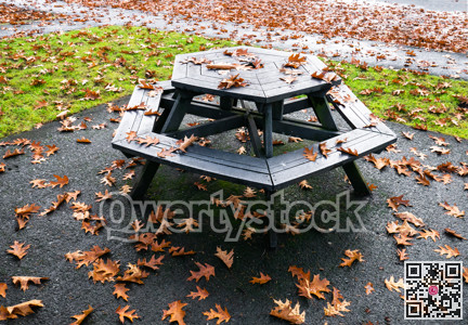 Fall season in a park. Oak foliage fallen on picnic table in a park.