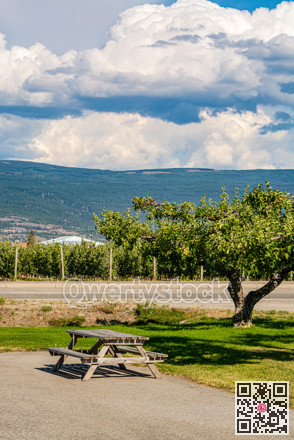 Recreation area with apple tree with beautiful overview of mountains