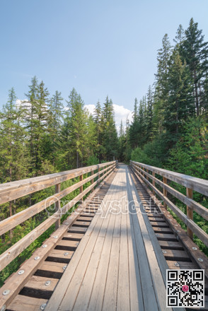 Old railroad bridge over Myra canyon in Okanagan valley.