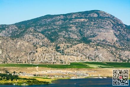 Okanagan valley view with residential area and orchard farm fields