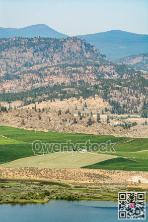 Okanagan valley view with farm land area and orchard on the lake shore