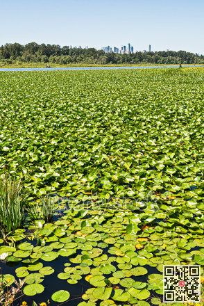 Scenery view of urban district area over nature reserve zone