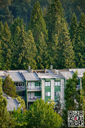 Top of low-rise residential building on green trees background