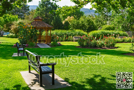 Recreation area with benches and wooden gazebo under blossoming sunflowers