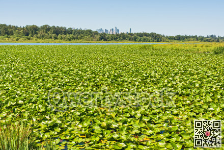 Scenery view of urban district area over nature reserve zone