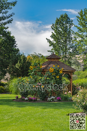 Recreation area in a park with benches and wooden gazebo under sunflowers