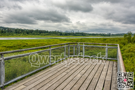 Recreational deck with observation over the park of Burnaby lake