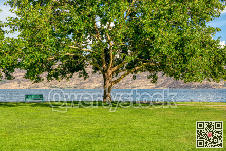 Lonely bench on the shore with lake and mountains view under the chestnut tree