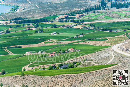 Farm lands landscape in Okanagan valley on summer day.