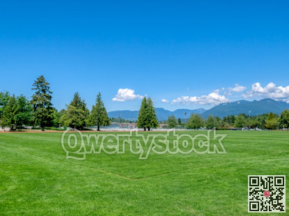 Green grass field of recreational stadium on bright sunny day