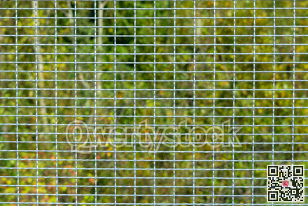 Metal grid texture on green foliage background