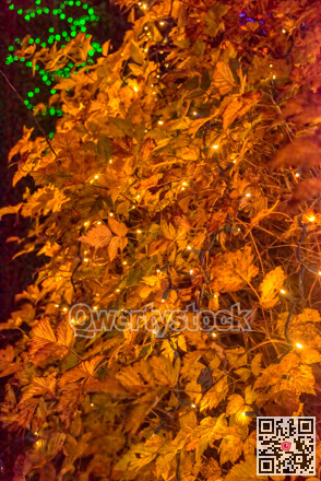 Decorative lights covering a bush with yellow leaves. New Year eve celebration