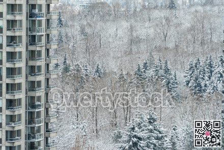 Part of high rise building on winter forest background