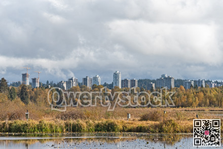 Hand made bird houses on a bright autumn day in British Columbia