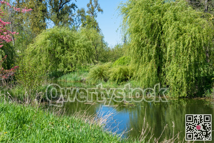 Green trees and grass around slow river on bright hot summer day