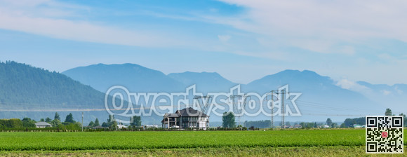 High power lines over farmer's field in the Fraser valley