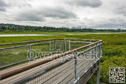 Recreational deck with observation over the park of Burnaby lake