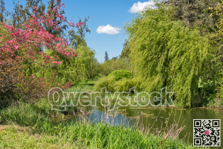 Beautiful view of the creek and forest from tourist camp on warm summer day