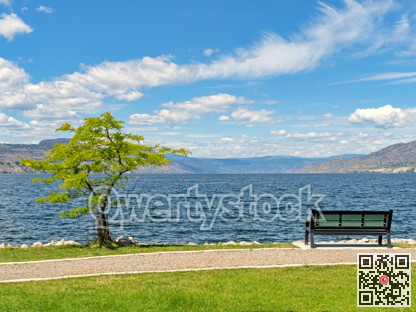 Scenery Okanagan lake overview with the bench and tree at the waterfront