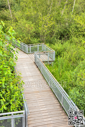 Recreational deck with observation over the park of Burnaby lake