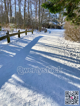 Walkway in a park on bright winter day