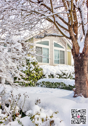Residential house window on bright winter day