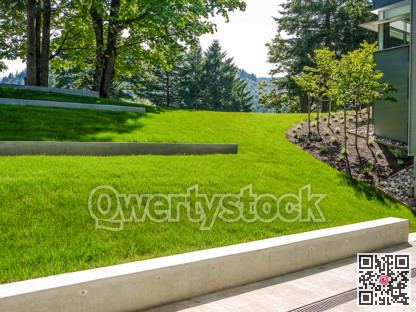 Nice green lawn on the slope beside a building