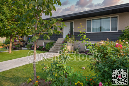 Average family house with concrete pathway over front yard