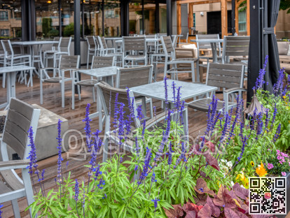 Decorative lavender flowers at empty street cafe on rainy day