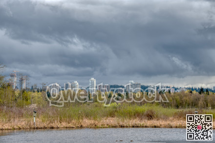 Wild birds habitat in natural reserve close by urban city center