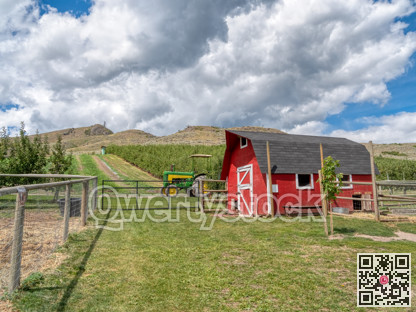 Orchard farm with small red barn and tractor on the field