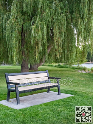 Lonely bench for relaxation on waterfront in the park
