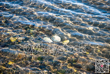 Three empty shells in Pacific ocean bay in sun rays