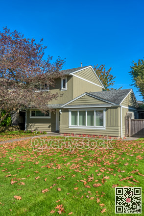 Dry leaves on green lawn in front of sunny family house