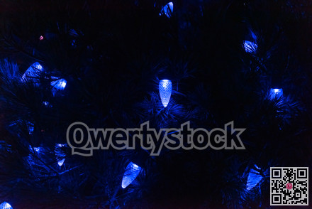 Blue light balbs pinecone shaped among the pine leaves in darkness of the night