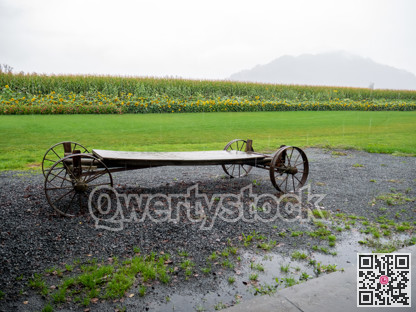 Abandoned horse cart beside the farm field on a rainy day