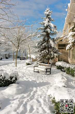Bright winter day in residential area of Coquitlam, British Columbia, Canada