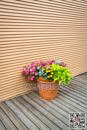 Decorative flowers on wooden pavement of the street