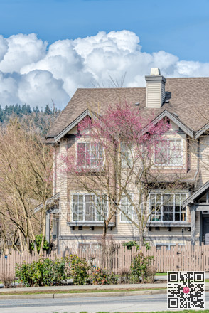 Residential townhouses with blooming cherry tree in front on spring season