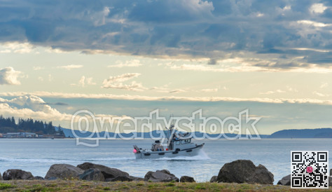 Small trawler is going to the fishing reid in Pacific ocean