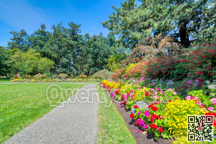 Green wide open meadow in a park with paved pathway