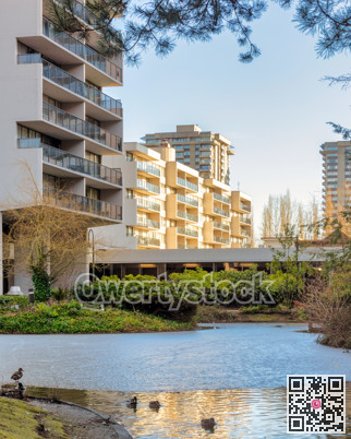 Residential area with a frozen pond in urban environment on winter time